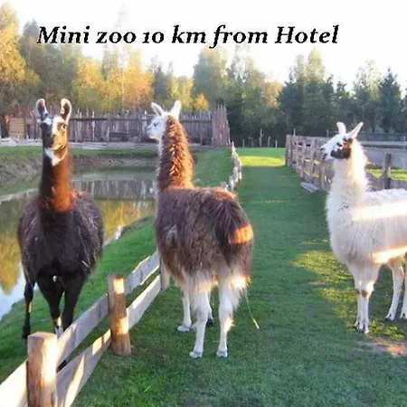 Pajurio Vieskelis 酒店 3*