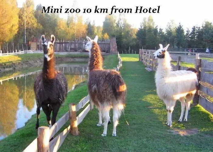 Pajurio Vieskelis Hotel 3*